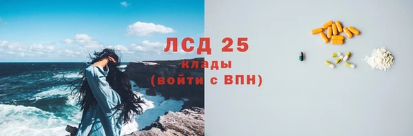 тгк Новозыбков