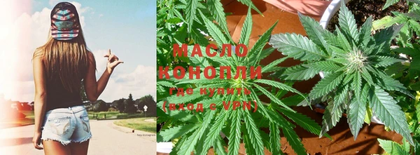 тгк Новозыбков