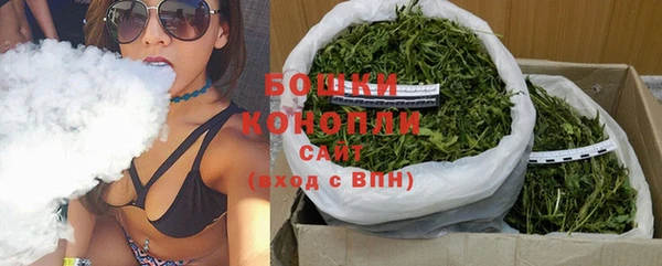 тгк Новозыбков