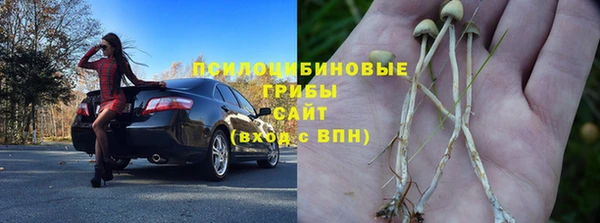 стаф Нефтекумск