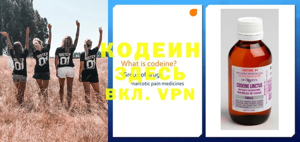 ешки Билибино