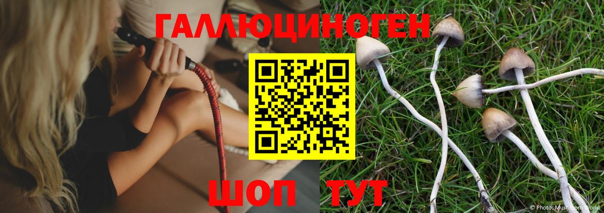 Псилоцибиновые грибы MAGIC MUSHROOMS  Вход с VPN  Магадан  продажа наркотиков  Псилоцибиновые грибы GOLDEN TEACHER 