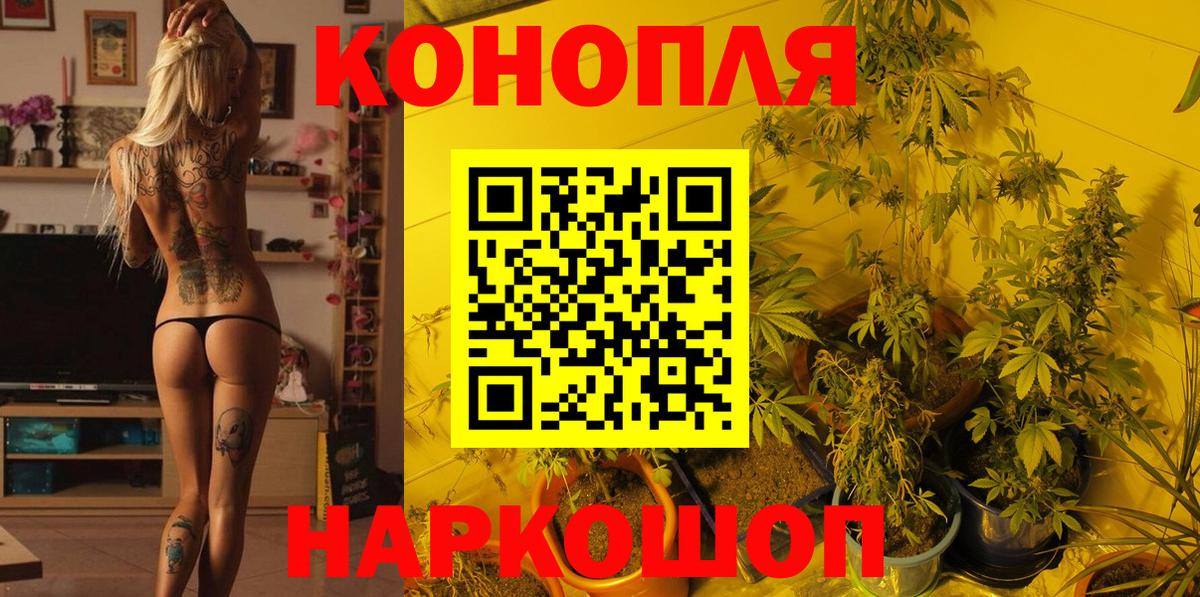 Конопля Ganja Магадан